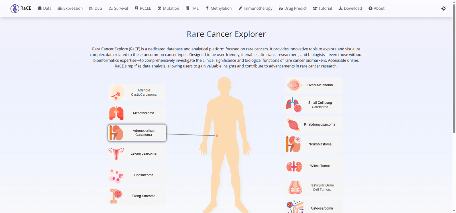 Rare Cancer Explorer screenshot
