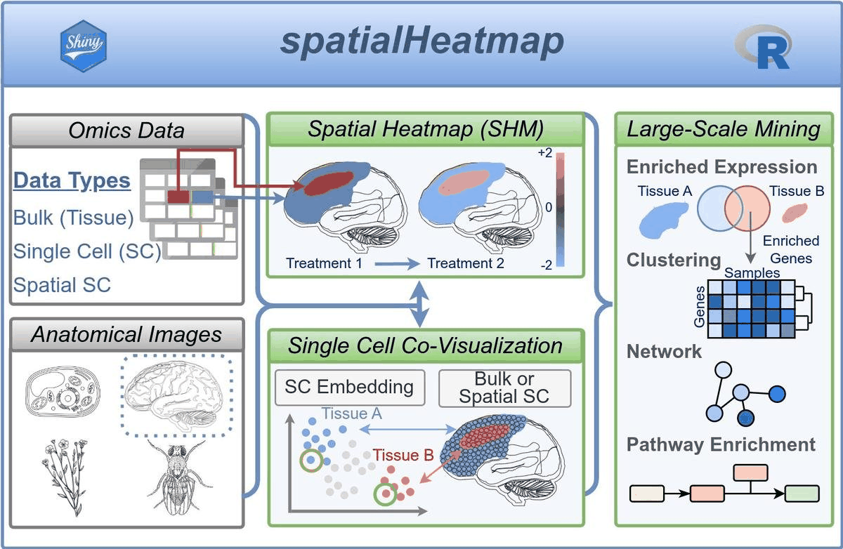 spatialHeatmap screenshot